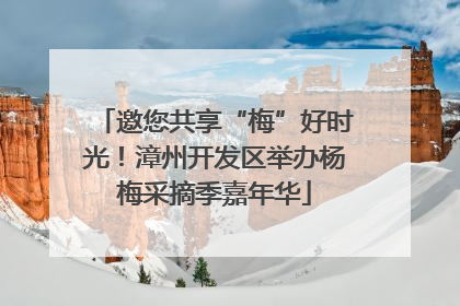 邀您共享“梅”好时光!漳州开发区举办杨梅采摘季嘉年华